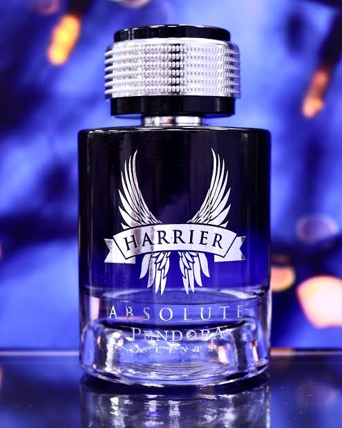 PENDORA SCENTS HARRIER ABSOLUTE EDP 100ML - Loon Traders
